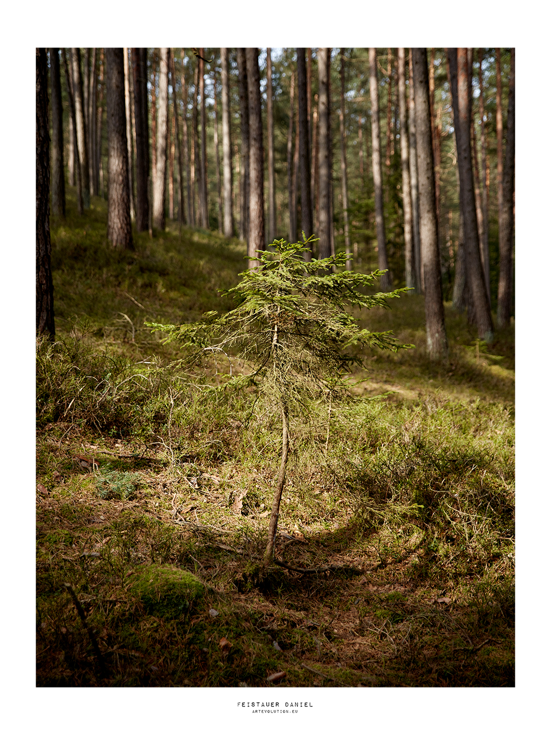 Landschaftsfotografie making of fernwandererx fränkische schweiz